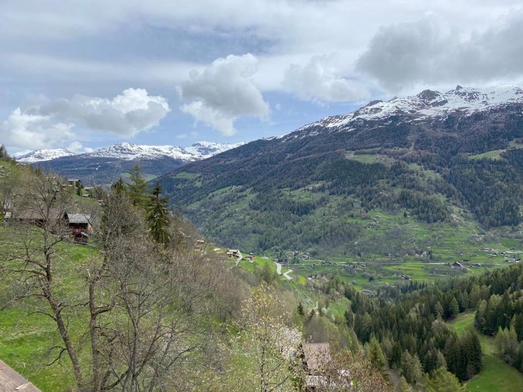 Residence Platane B Grimentz Eksteriør billede